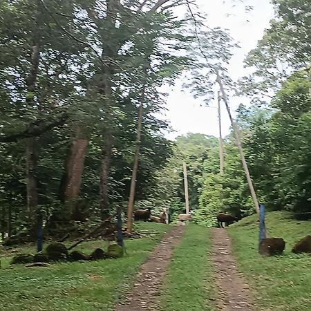 Cabana Rincon De Curubande Либерия Екстериор снимка
